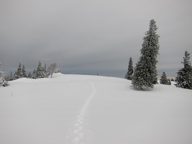 tirolerkogel